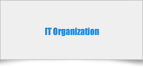 IT Organization